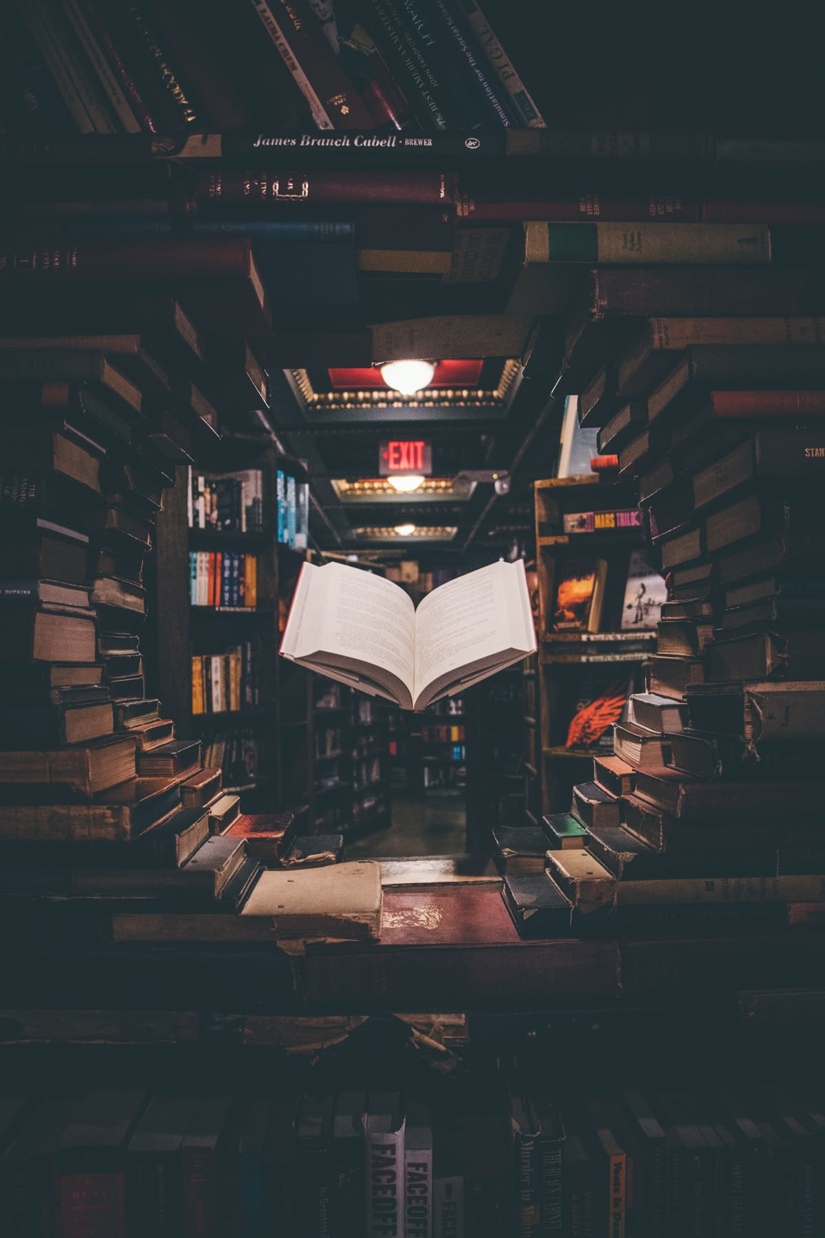 Biblioteca acogedora con libros españoles